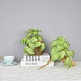 Cành Lá Dưa Hấu Trang Trí Tiểu Cảnh (15cm)- HC1196