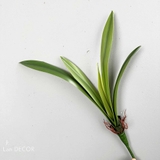 CÀNH LÁ HUỆ TÂY TRANG TRÍ CẮM HOA (35cm, 43cm, 55cm) - HC1211