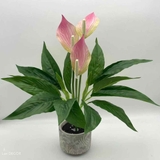 Cành Hoa Lan Ý Trang Trí Cảnh Quan (44cm)- HC1194