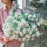 Hoa Giả Decor- Cành Hoa Xuyến Chi Giả Trang Trí (6 nhánh, 80cm)- HC1274