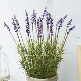 Giỏ hoa lavender phong cách vintage Lan Decor - CC529