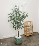 Cây bạch đàn trang trí nhà, quán cafe đẹp LanDecor (165cm) - LC3051
