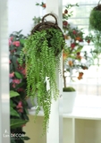 Giỏ dương xỉ rủ trang trí nhà đẹp Lan Decor - CC205.1