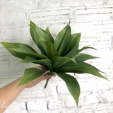 Cụm Lô Hội Trang Trí Cảnh Quan Hút Mắt (35cm)- HC1217