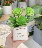 CHẬU SEN ĐÁ HÌNH TÚI DECOR NHÀ ĐẸP- CC728