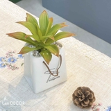 CHẬU SEN ĐÁ HÌNH TÚI DECOR NHÀ ĐẸP- CC728