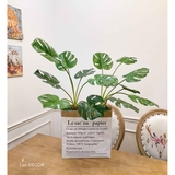 Hộp giấy Monstera trang trí Landecor - CC369.3