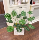 Hộp giấy Monstera trang trí Landecor - CC369.3