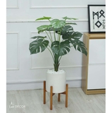 Cây lá rùa trang trí tiểu cảnh LanDecor 100cm - LC2475-1.2 mix