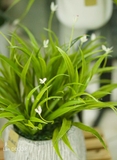 Chậu lan trắng để bàn LanDecor  (50cm ) - CC602