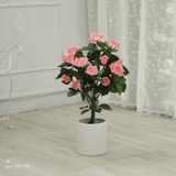 (TẠM HẾT HÀNG)Cây hoa hồng cây cảnh trang trí nội thất (75cm) - LC3007