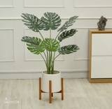 Cây lá xẻ cây monstera trang trí không gian hiện đại (120cm) - LC3024