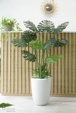 Cây lá xẻ cây monstera trang trí không gian hiện đại (120cm) - LC3024