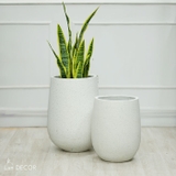 Chậu giọt nước đá mài (28*40cm)- CXM021