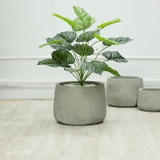 Chậu xi măng bầu lùn (D=21,D=26,D=30)- CXM026