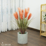 CHẬU LAU SẬY HỒNG CAM TRANG TRÍ LAN DECOR