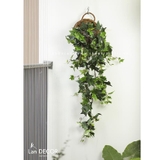 Giỏ Thường xuân treo tường phong cách hiện đại Lan Decor (120cm) - cc238