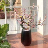 Chậu cây hoa trang trí Tết Landecor (100cm) - CC400