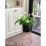 Kệ Lan Ý Trang Trí Không Gian Xanh- CC946, CC947