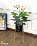 Kệ Cây Thiên Điểu Trang Trí Nội Thất Ấn Tượng- CC936
