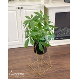 Kệ Cây Lộc Vừng Trang Trí Phòng Khách- CC934