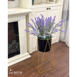 Kệ Hoa Oải Hương Decor Nhà Tươi Mới - CC935