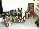Tranh hoa treo tường phong cách hiện đại- KTH031 (20x40cm)