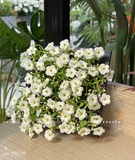 Khung tranh rêu treo tường trang trí nghệ thuật- KTR017