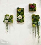 BỘ TRANH RÊU SEN ĐÁ TREO TƯỜNG DECOR ĐỘC ĐÁO, SANG TRỌNG