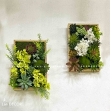 BỘ TRANH RÊU SEN ĐÁ TREO TƯỜNG DECOR ĐỘC ĐÁO, SANG TRỌNG