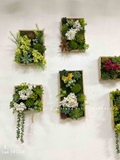 BỘ TRANH RÊU SEN ĐÁ TREO TƯỜNG DECOR ĐỘC ĐÁO, SANG TRỌNG