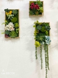 BỘ TRANH RÊU SEN ĐÁ TREO TƯỜNG DECOR ĐỘC ĐÁO, SANG TRỌNG