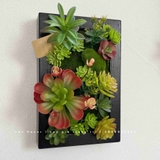 KHUNG TRANH RÊU SEN ĐÁ DECOR ẤN TƯỢNG- KTR015 (20x30cm)