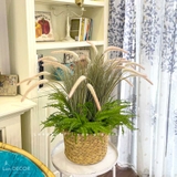 Cành cỏ đuôi chồn phớt hồng decor nhà đẹp (80cm)- HC1000