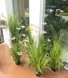 Hoa Hồi Hương Giả- Cành Hoa Hồi Hương Giả Trang Trí Chậu Cây, Bồn Tiểu Cảnh Đẹp Tự Nhiên- CC1085