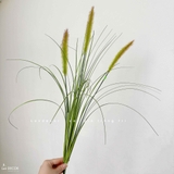 Cỏ Lau Giả- Cành Cỏ Lau Giả Thiết Kế Lan Decor, Trang Trí Kệ Cây, Tiểu Cảnh Lau Giả Quán Cafe Độc Đáo - CC1087