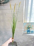 Cỏ Lau Giả- Cành Cỏ Lau Giả Không Lông Thiết Kệ Ụ Rêu Tiểu Cảnh, Decor Kệ Cây- CC1088