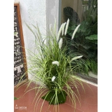Cỏ Lau Giả - Bụi Cỏ Lau Trắng Decor Tiểu Cảnh Lau Giả, Thiết Kế Hiện Đại (cao 70cm, tán 55cm)- CC1116