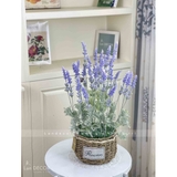 GIỎ HOA OẢI HƯƠNG DECOR NHÀ XINH XẮN- CC371-3