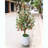 Chậu cây lựu vân đá trang trí không gian sang trong (150cm) - CC223