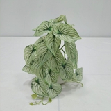 Cành Lá Dưa Hấu Trang Trí Tiểu Cảnh (15cm)- HC1196