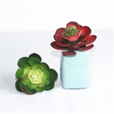 Cành sen  đá decor Trang trí nhà cửa, chậu cây     -   Sen đá 65