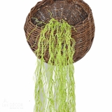 Cành Lá Giả - Cụm Tảo Rủ Treo Tường Trang Trí Nội Thất (85CM)- HC1224