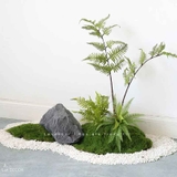 Tiểu Cảnh Dương Xỉ- Bồn Dương Xỉ Culi Decor Tiểu Cảnh Khô Cửa Hiệu (200x40x140cm)- RC077