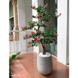 Cây hoa Đỗ Quyên trang trí LanDecor (130cm) - CC566