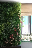 Dây hoa hồng leo trang trí LanDecor (200cm) - CC475