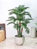 Cây dừa cảnh trang trí nhà đẹp Landecor ( 165cm) - LC3062