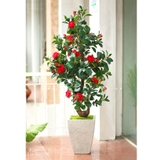 Chậu cây hoa trà đỏ trang trí nội thất Lan Decor (180cm) - CC563