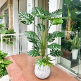 Chậu cây Monstera trang trí tiểu cảnh Landecor (150cm) - LC3058-4 mix