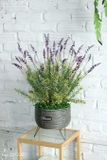 Chậu mây lavender trang trí nhà đẹp Landecor (75cm) - CC545